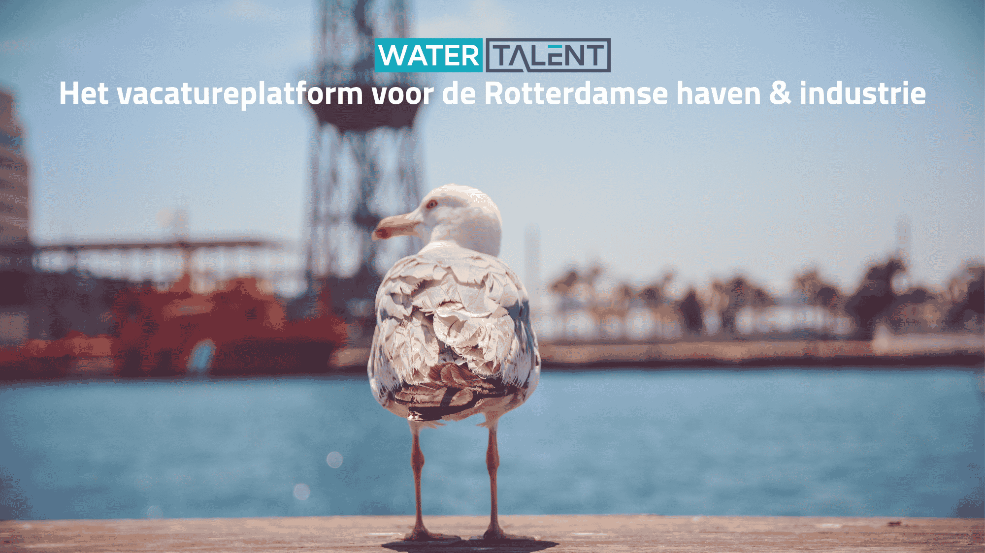 Watertalent